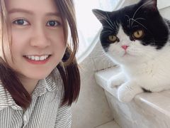 -Catmate·猫肥家润(金润铂宫店)