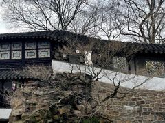 -拙政园