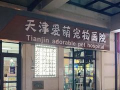 -美联众合宠物医院·爱萌分院·内外科·猫科中心