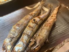 -鸟鹏烧鸟居酒屋(熙龙湾店)