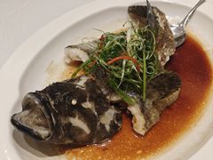 -新成海港大酒楼(康华路店)