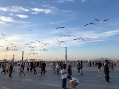 -东港音乐喷泉广场