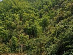 -将军关探险漂流