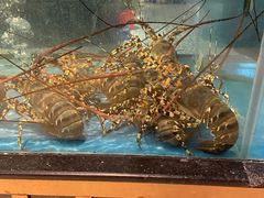 -都市阳光海鲜城(青山湖店)