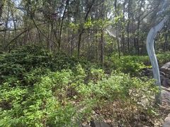 -云龙山