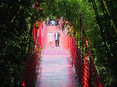 -上海吴淞炮台湾国家湿地公园