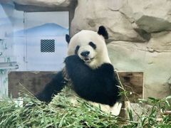 -无锡动物园·太湖欢乐园