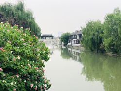 -Lily纤美·科技减脂中心