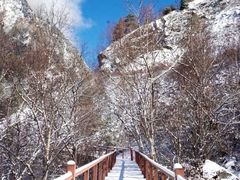 -叠溪松坪沟景区