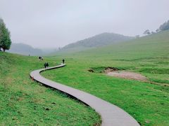 -关山草原