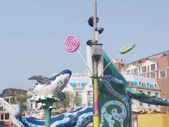 -海合安青岛极地海洋公园