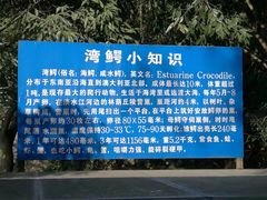 -广东茂名森林公园