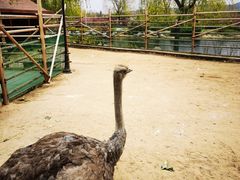 -羊亭河湿地公园