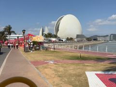 -野狸岛