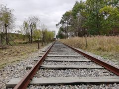 -上海浦江郊野公园-5号停车场