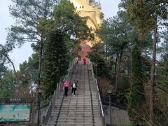 -南山植物园