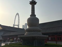 -天津大悲禅院