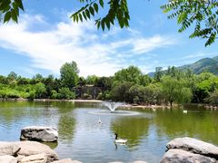 -西安秦岭野生动物园