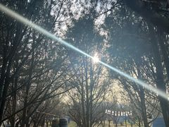 -尚庄度假村·庭台树下·户外烧烤·团建CS·轰趴营地(上庄水库店)
