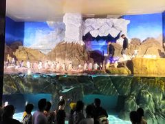 -成都浩海立方海洋公园