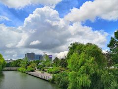 -上海交通大学（闵行校区）-李政道图书馆