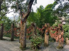 -峨眉山风景名胜区