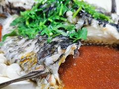 -八仔大富楼·河鲜(西江店)