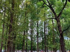 -四川大学(望江校区)