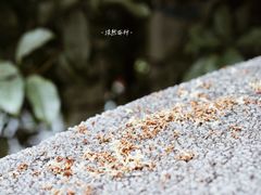 -思南书局(复兴中路店)