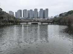 -重庆彩云湖湿地公园