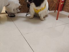 -美联众合24小时·皮肤科·外科·全科诊疗中心(华苑分院)