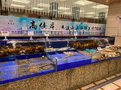水产区-高佳庄·舟山海鲜(海景旗舰店)