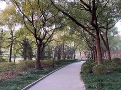 -黄兴公园