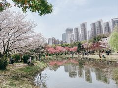 -堤角公园
