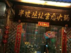 -秀丽东方