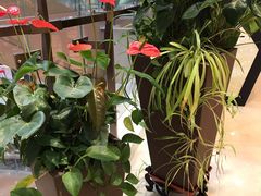 -新世界大丸百货