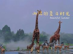 -北京野生动物园