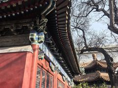 -贤良祠