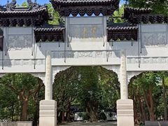 -南汇桃花村
