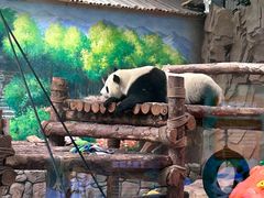 -青藏高原野生动物园