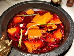 -孙毛肚火锅(春熙路店)