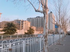 -康庄公园