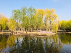 -东郊湿地公园
