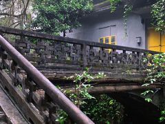-鼎湖山风景区