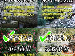 -春暖花开(西溪店)