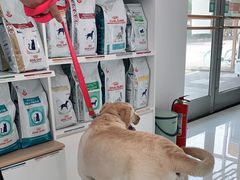 -北京恒爱动物医院(清景园分院)