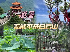 -洛阳白云山景区