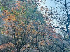 -秦岭终南山世界地质公园翠华山景区