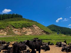 -驼梁风景区