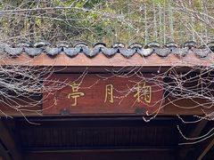 -杭州植物园